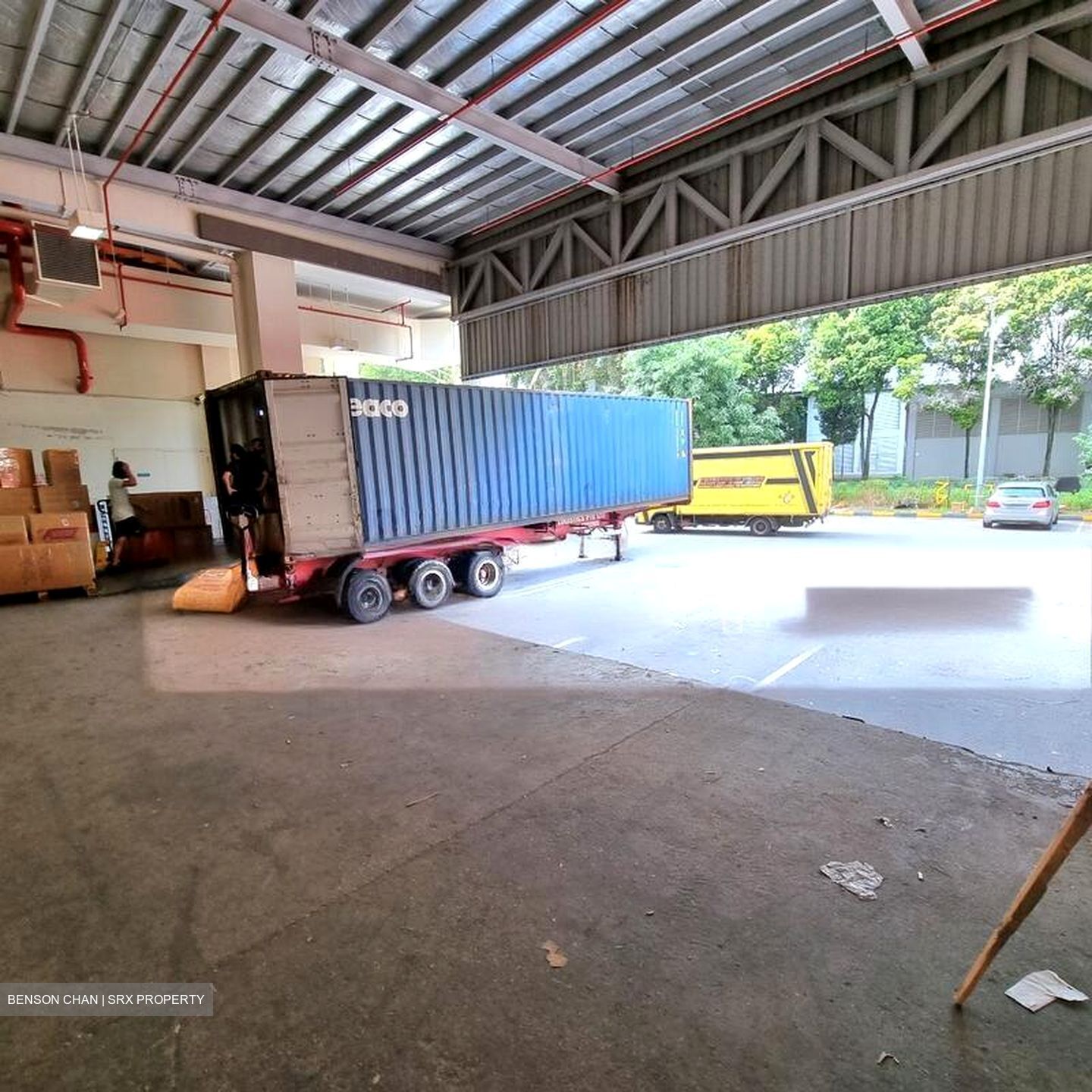 Trivex (D13), Warehouse #567464611